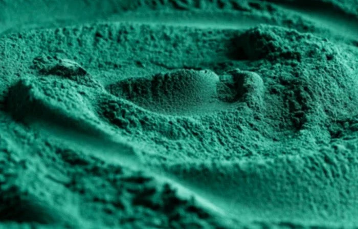 Chlorophyll-Pulver