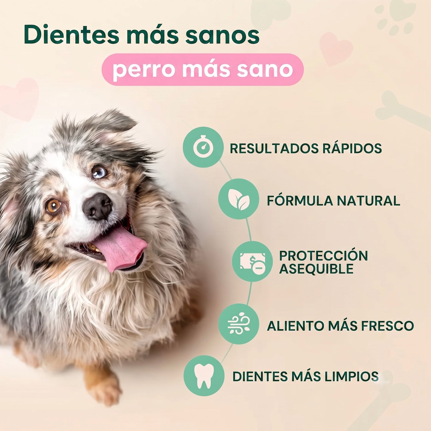 Vitarro® Spray dental para perros