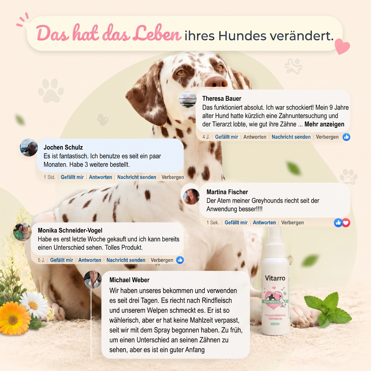 Vitarro® Dentalspray für Hunde