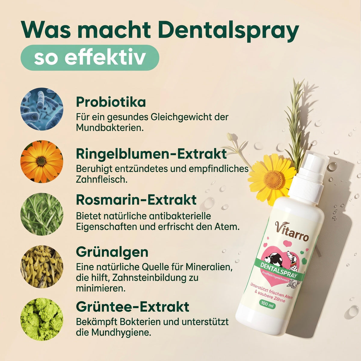 Vitarro® Dentalspray für Hunde
