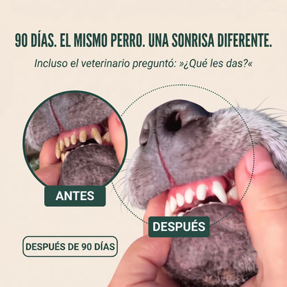 Vitarro® Spray dental para perros