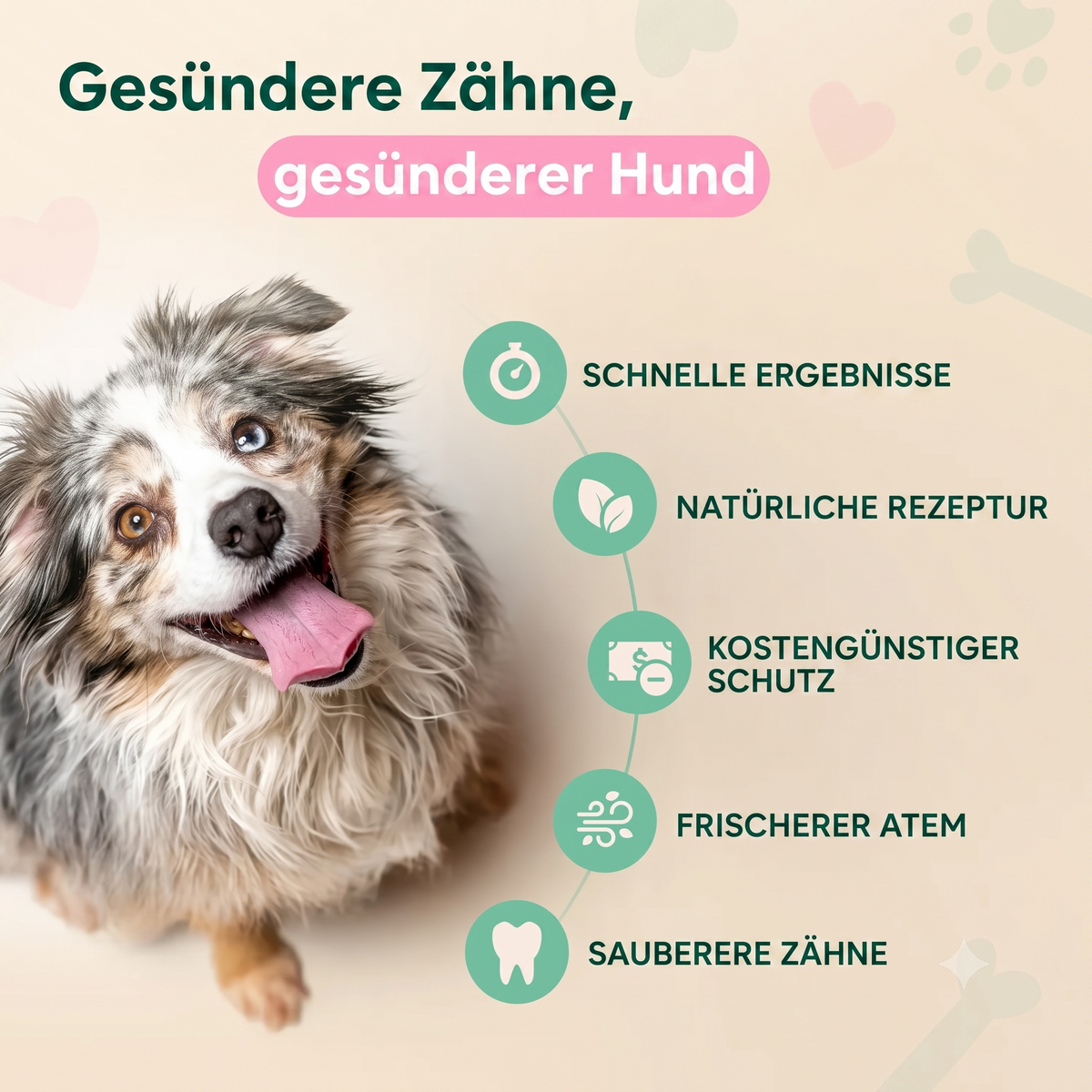 Vitarro® Dentalspray für Hunde